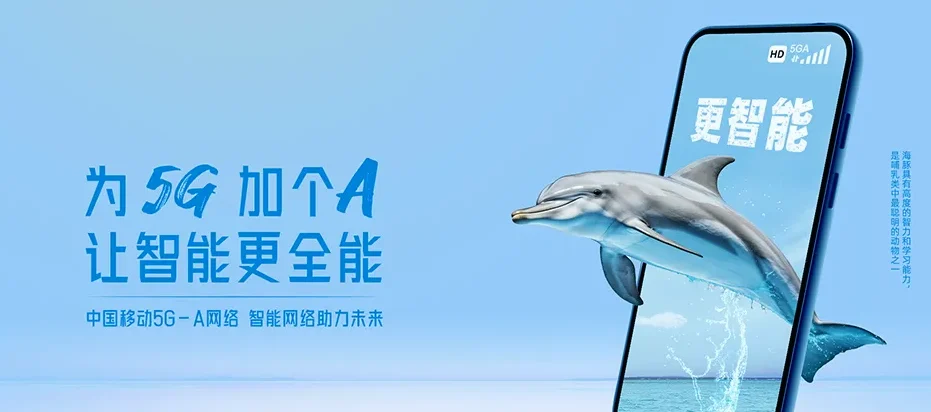 八所东方市八所镇 移动宽带